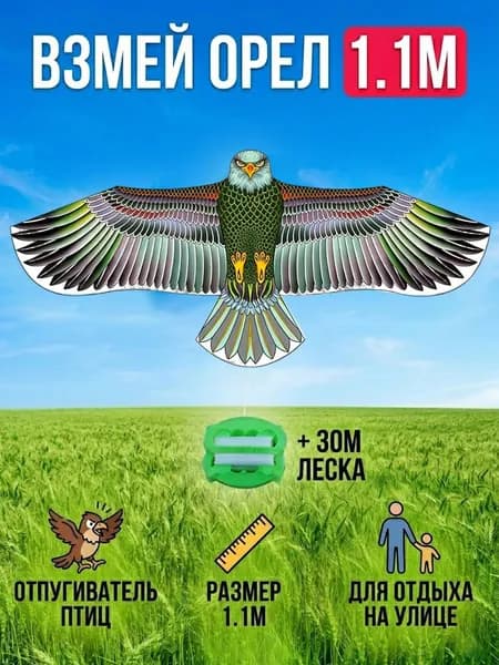 Воздушные змеи Eagle для управления птицами, большие игрушки для детей и взрослых на открытом воздухе