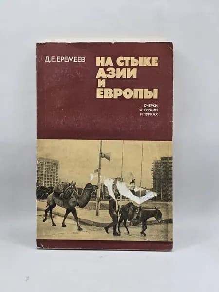 Дмитрий Евгеньевич Еремеев - На стыке Азии и Европы