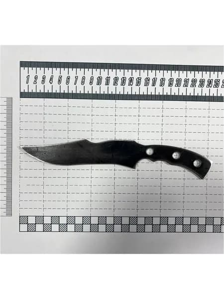 Заготовка для ножа, Бланк для ножа 250*40 мм., толщина стали 3,9 мм.