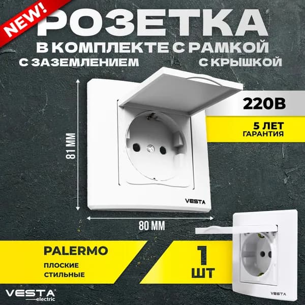 Розетка Metronex-Electric Palermo одинарная с заземлением с крышкой