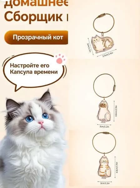 Брелок-капсула для кошачьей шерсти,коллекционный аксессуар для любителей кошек,3 шт