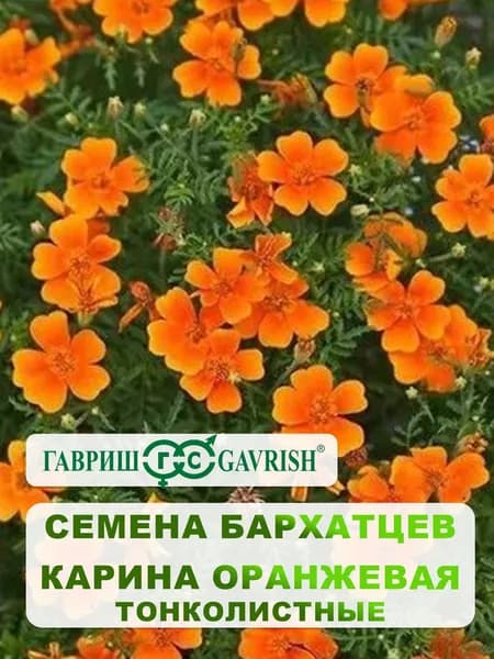 Семена Бархатцев тонколистные "Карина оранжевая" Тагетес 0,05 гр.