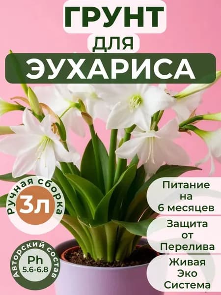 Готовый авторский грунт для Эухариса,премиум 3 литра