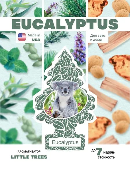 Little Trees Ароматизатор автомобильный, Eucalyptus