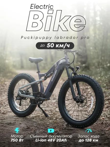 Электровелосипед Puckipuppy Labrador Pro 750вт