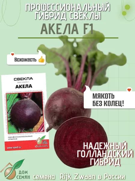 Свекла Акела Р3, 100 семян