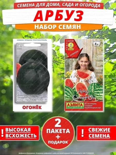 Семена арбуз для дома сада посадки
