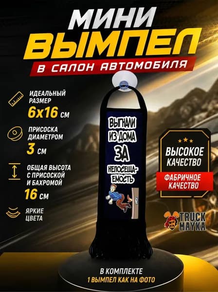 Мини-вымпел Выгнали из дома за неуспеваемость