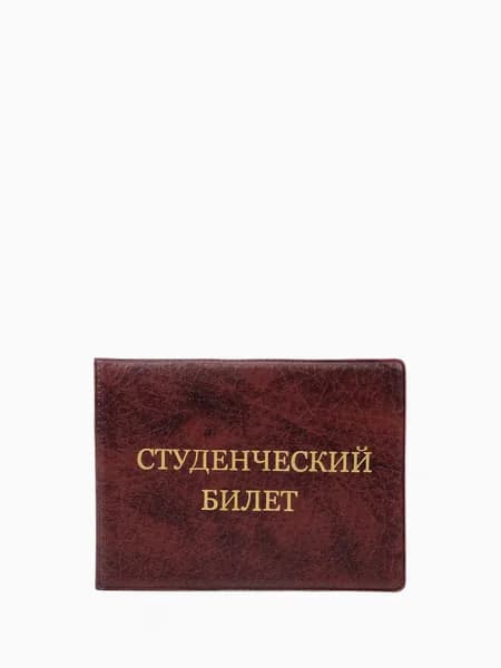 Обложка для студенческого билета