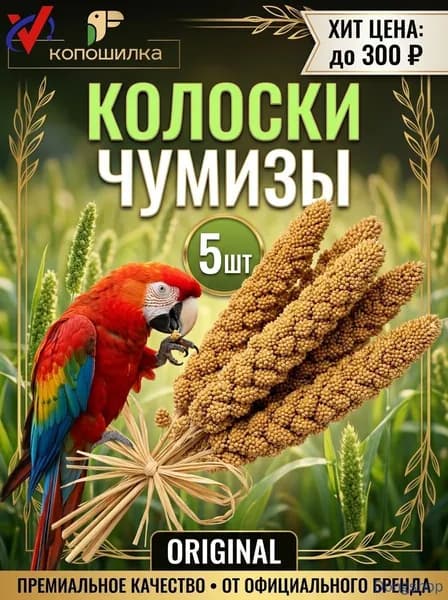 Чумиза для попугаев 5 шт. сенегальское просо лакомство игрушка для птиц и грызунов , урожай 2025 года - КОПОШИЛКА бренд от производителя