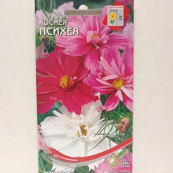 Космея махровая Психея, 45 семян