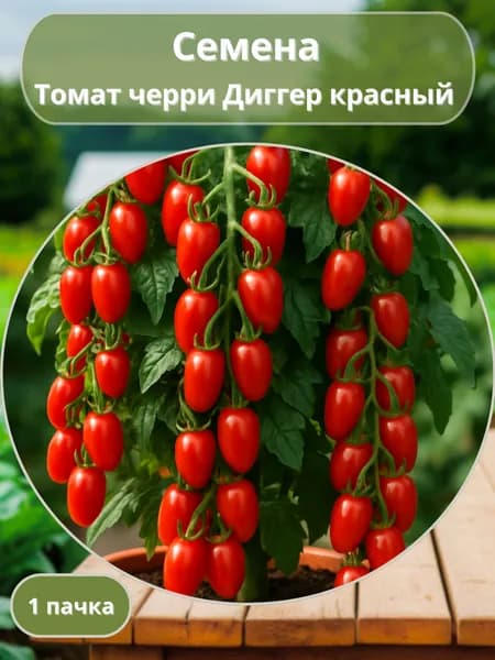 Томат черри Диггер красный, семена 10 шт