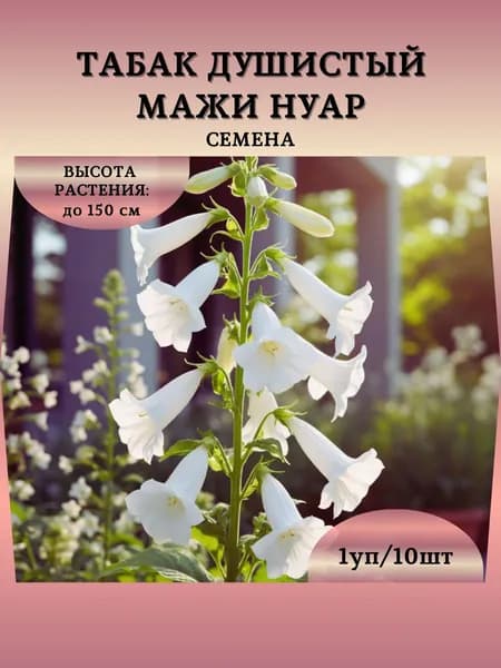 Табак душистый "Мажи Нуар" семена, 1 пачка