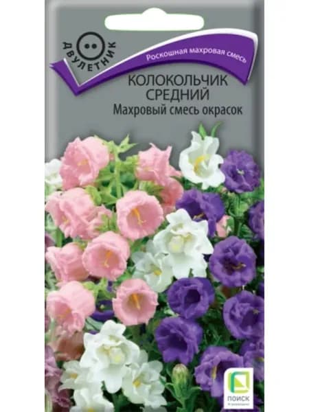 Семена Колокольчик сорт Махровый