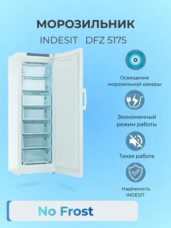 Морозильник Indesit DFZ 5175