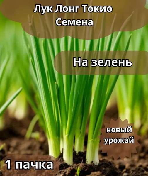 Лук на зелень сорта Лонг Токио семена 10 шт