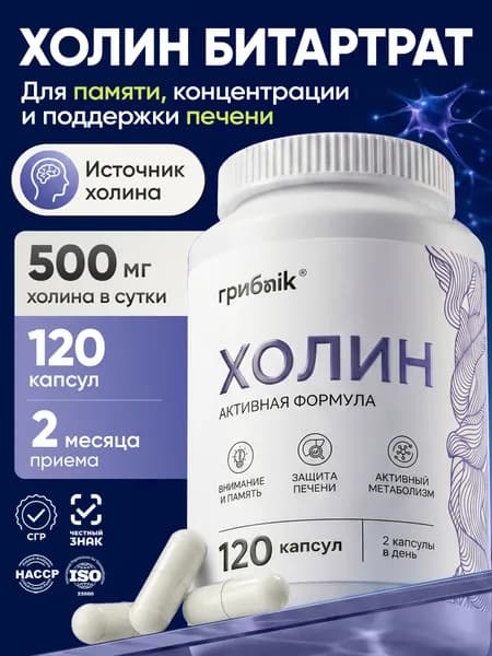 Холин, холин битартрат 120 капсул, грибnik