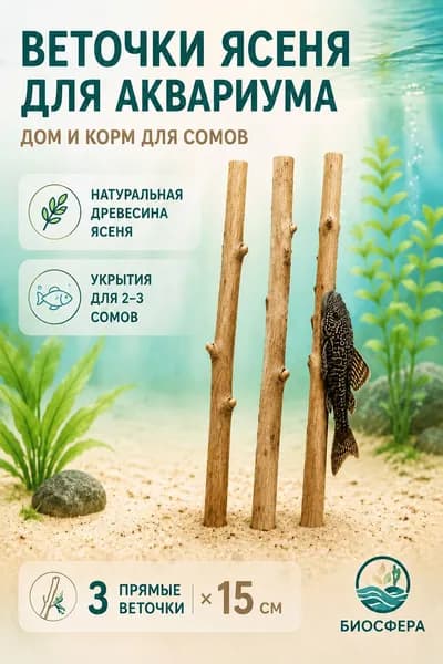Веточки ясеня для аквариума, 3 шт. 15 см натуральный декор и корм для сомов, анциструсов, лорикариевых
