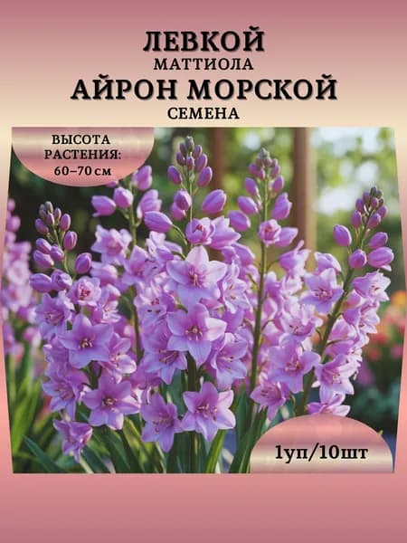 Левкой (Маттиола) "Айрон Морской" семена, 1 пачка