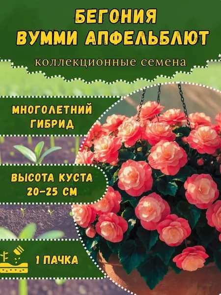 Семена Бегонии "Вумми Апфельблют", 10 семян