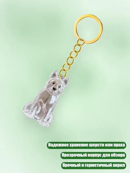Ключница для хранения шерсти и праха питомца в прозрачном корпусе, - Китайская пастушья собака
