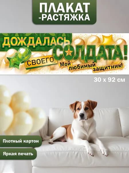 Плакат полоска дембель ДМБ сыну большой Дождалась солдата