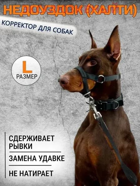 Намордник халти для собак крупных, средних, мелких пород / Недоуздок