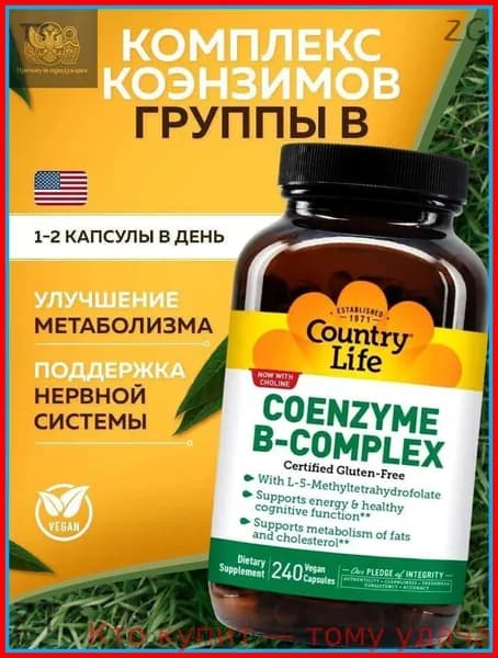 Coenzyme B-Complex, Комплекс коэнзимов группы Б, 240 штук