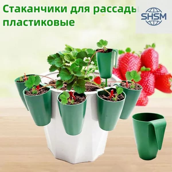 Ящик для рассады