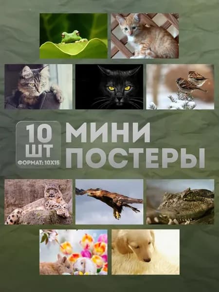 Мини постеры (набор) «Животные» 10 шт