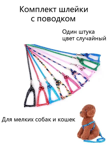 Набор шлейка с поводком с принтом, для мелких собак и кошек