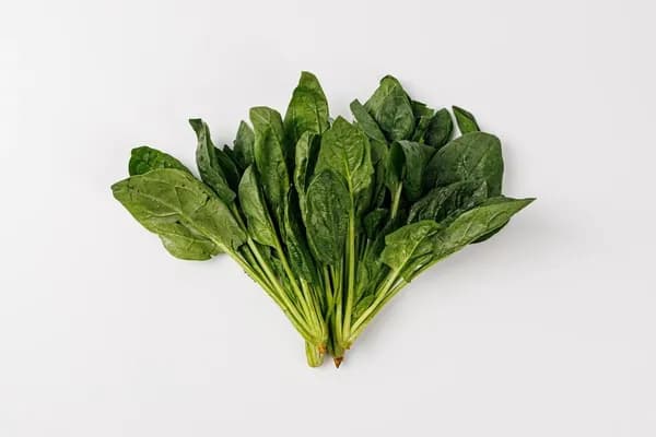 Шпинат крупнолистовой, 100 г