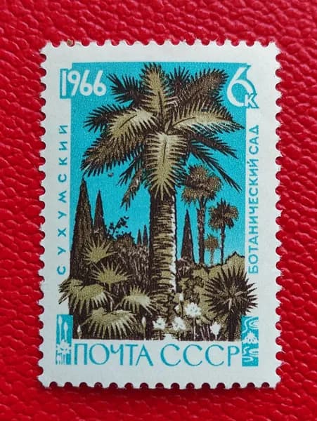Марки СССР 1966. "ПАЛЬМА''. MNH - См фото
