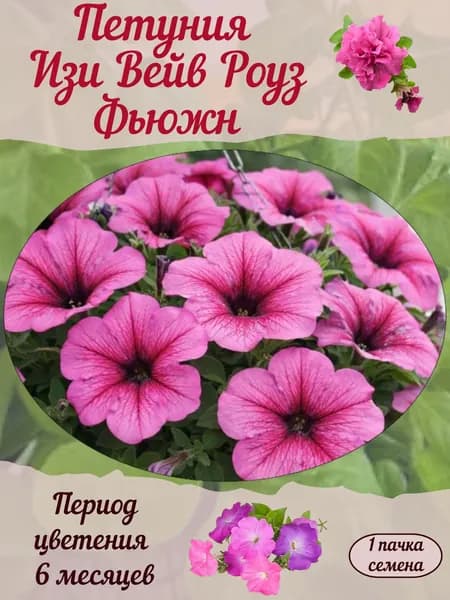 Петуния Изи Вейв Роуз Фьюжн, семена, 10 шт.
