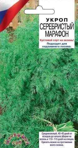 Укроп "Серебристый марафон" кустовой сорт