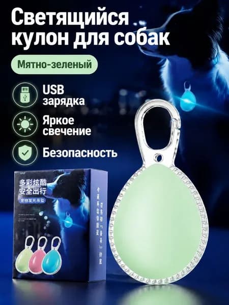 Светодиодный светящийся брелок для питомцев зелёного цвета, USB-зарядка, видимость до 100 м