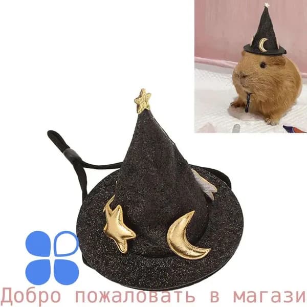Одежда для животных