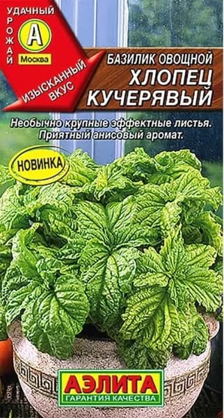 Семена Базилик овощной Хлопец Кучерявый (0,2г) - Аэлита