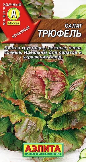 Семена Салат Трюфель Кочанный (0,5г) - Аэлита