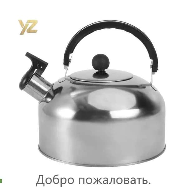 Электрический чайник PO1123619D9G53O52, серебристый