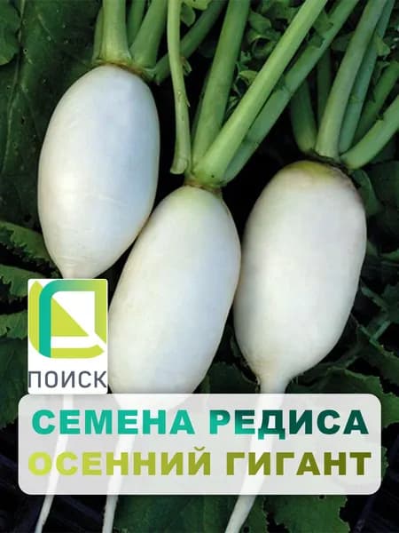 Семена Редис "Осенний гигант", 3 гр, для дома, дачи и огорода, в открытый грунт, на подоконник, в контейнер.