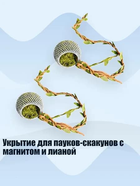 Укрытие для пауков-скакунов с магнитом и лианой, - B8