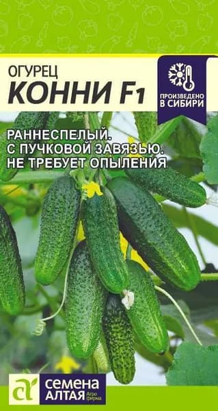 Семена Алтая Семена ,1шт