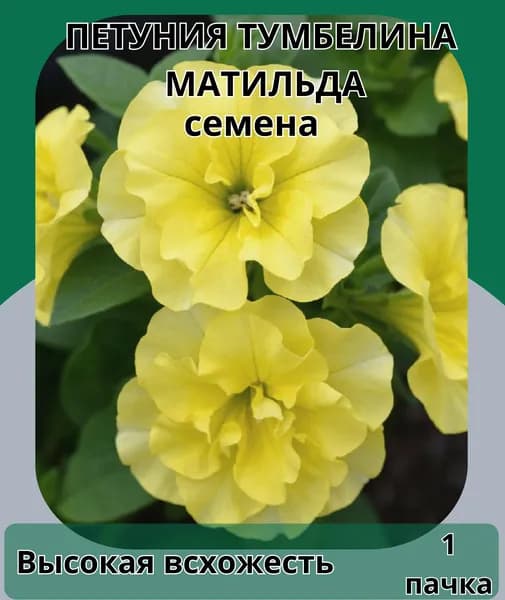 Петуния Тумбелина Матильда, семена 10шт