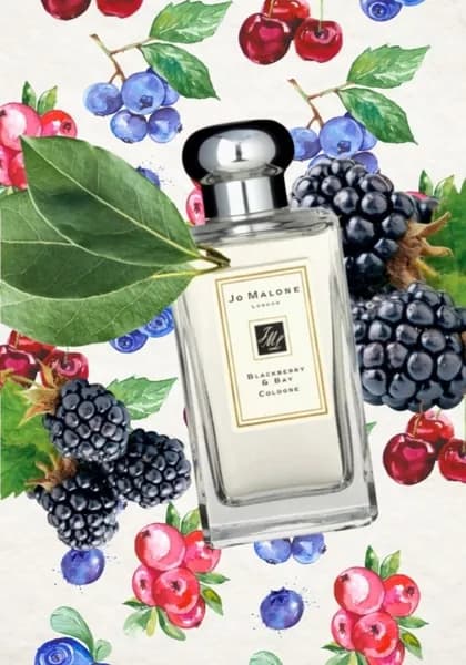 Every thing for me Наливная парфюмерия Blackberry & Bay/EVERY THING FOR ME/туалетная 5 мл