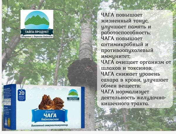 "Чага Байкальская" в фильтр-пакетах