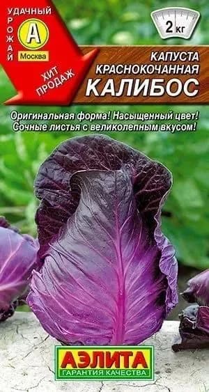 Семена Капуста краснокочанная Калибос (0,3г) - Аэлита