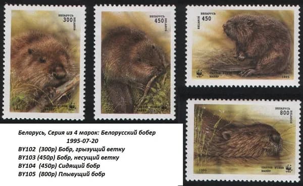 Беларусь 1995 Европейский бобер, 4 марки (MNH)