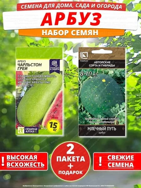 Семена арбуз для дома сада посадки