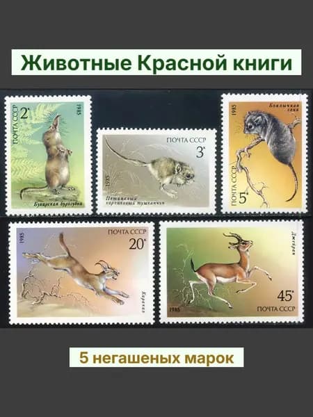 СССР-1985. Животные Красной книги. Серия из 5 марок. Негашеная